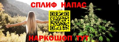 бошки Тверь