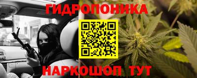 ПСИЛОЦИБИНОВЫЕ ГРИБЫ Тара