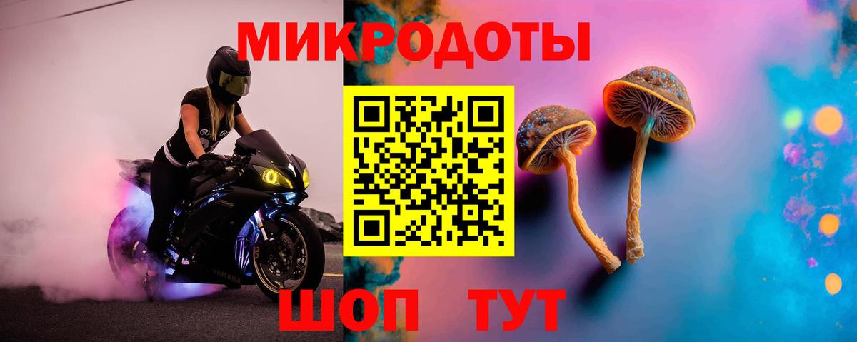 Псилоцибиновые грибы Psilocybine cubensis Крымск