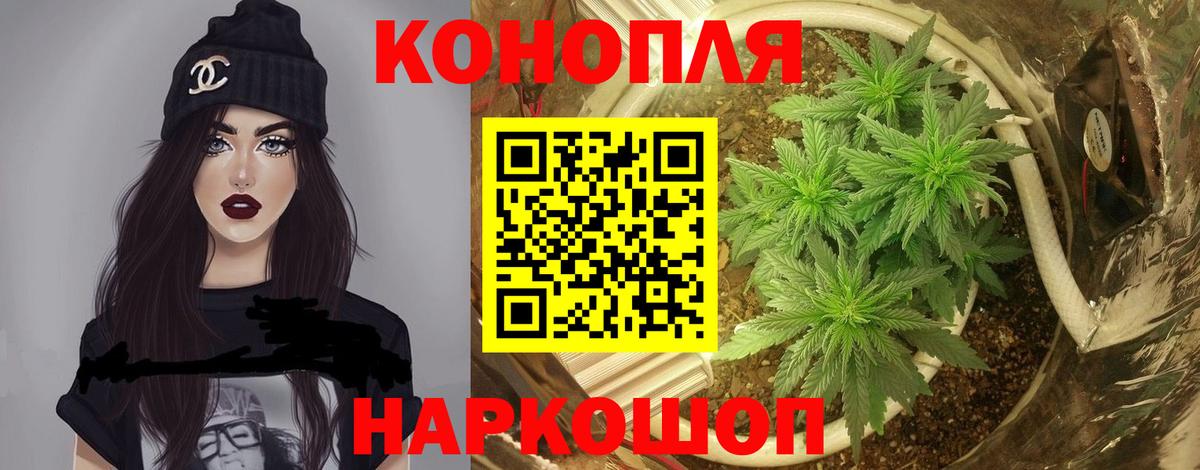 Бошки Шишки SATIVA & INDICA  Бошки Шишки конопля  Крымск  Вход с VPN 